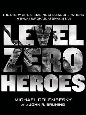 cover image of Level Zero Heroes
